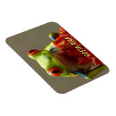 コスタリカの赤い目を持つ熱帯カエル マグネット (右側)