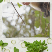 コスタリカの野生動物:白い顔のカプチンモンキー キッチンタオル (折り畳み)