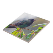 コスタリカの鳥 – 熱狂の激しいハミングバード タイル (側面)