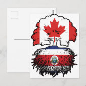 コスタリカコスタリカカナダツリールーツ ポストカード (正面/裏面)