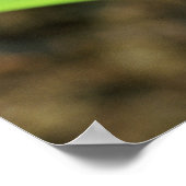 コスタリカコバルトマートダーツフロッグのクローズアップ ポスター (角)