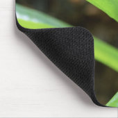 コスタリカコバルトマートダーツフロッグのクローズアップ マウスパッド (コーナー)