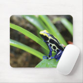 コスタリカコバルトマートダーツフロッグのクローズアップ マウスパッド (マウス)