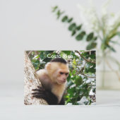 コスタリカサル ポストカード (スタンド正面)