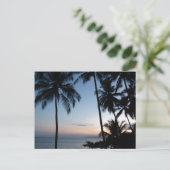 コスタリカサンライズ ポストカード (スタンド正面)