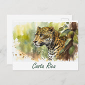 コスタリカジャガー ポストカード (正面/裏面)