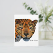 コスタリカジャガー ポストカード (スタンド正面)