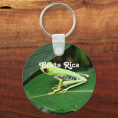 コスタリカツリーカエル キーホルダー (正面)