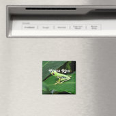 コスタリカツリーカエル マグネット (インサイチュ (食洗機))