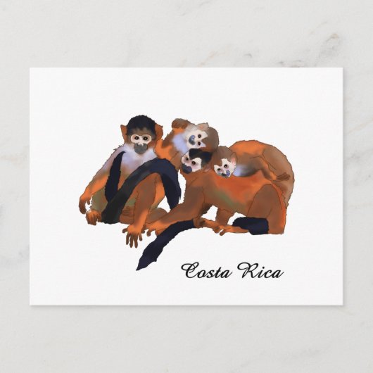 コスタリカティティモンキー ポストカード (正面)