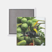 コスタリカトロピカルトゥカンプラヴィダ マグネット (正面/裏面)