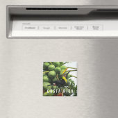 コスタリカトロピカルトゥーカン土産マグネット マグネット (インサイチュ (食洗機))