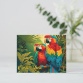 コスタリカパロッツ ポストカード (スタンド正面)