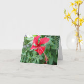 コスタリカビューティフルフローラ カード (黄色い花)