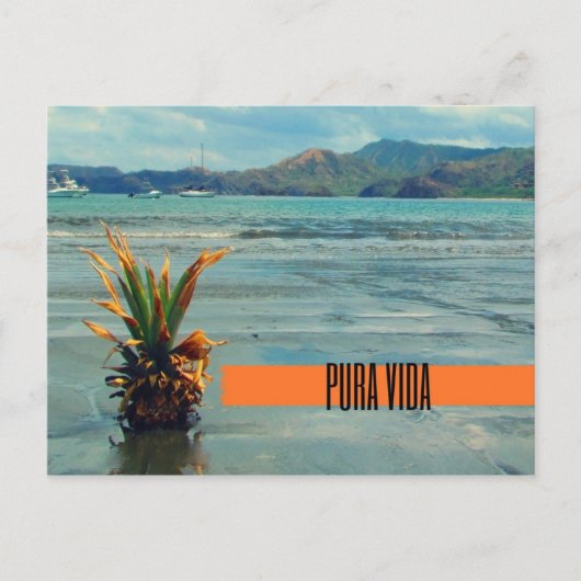 コスタリカビーチプラヴィダポストカード ポストカード (正面)