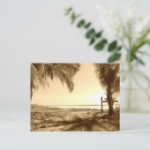 コスタリカビーチ ポストカード (スタンド正面)