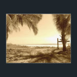 コスタリカビーチ ポストカード<br><div class="desc">コスタリカ，アリオのビーチのセピア写真。</div>