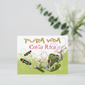 コスタリカプラビダツリーフロッグハガキ ポストカード (スタンド正面)