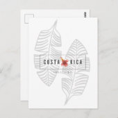 コスタリカプラビダトロピカルリーフポストカード ポストカード (正面/裏面)