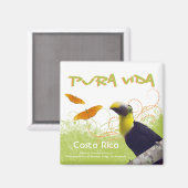 コスタリカプラビダマグネット マグネット (正面/裏面)