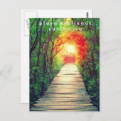 コスタリカプラヤアヴェラナスマングローブポストカード ポストカード (正面/裏面)