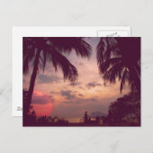 コスタリカプラヤフラミンゴパラダイスが見つかった ポストカード (正面/裏面)