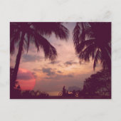 コスタリカプラヤフラミンゴパラダイスが見つかった ポストカード (正面)