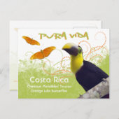 コスタリカプラヴィダトゥーカンポストカード ポストカード (正面/裏面)