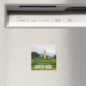 コスタリカラフォーチュナマグネット マグネット (インサイチュ (食洗機))