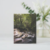 コスタリカレインフォレストハガキ ポストカード (スタンド正面)