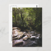 コスタリカレインフォレストハガキ ポストカード (正面/裏面)