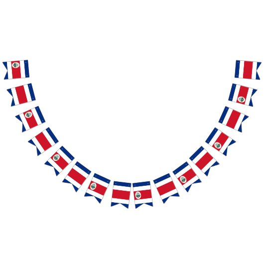 コスタリカ国旗のバント幕 バンティングフラッグ (全)