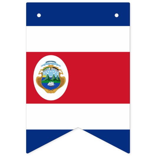 コスタリカ国旗のバント幕 バンティングフラッグ (第1の旗)