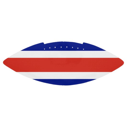 コスタリカ国旗を持つアメリカンフットボールのボール アメリカンフットボール (パネル)