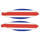 コスタリカ国旗を持つフルサイズバスケットボール バスケットボール (パネル)