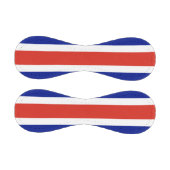 コスタリカ国旗を持つ愛国野球 野球ボール (パネル)