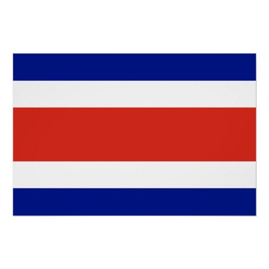 コスタリカ国旗を掲げた愛国的ポスター ポスター (正面)