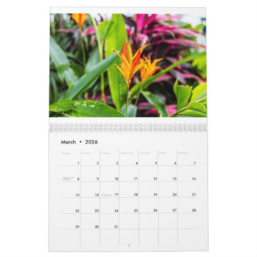 コスタリカ暦 カレンダー (3月 2026)