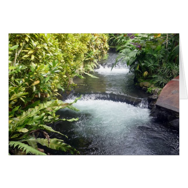 コスタリカ海域 (正面横)