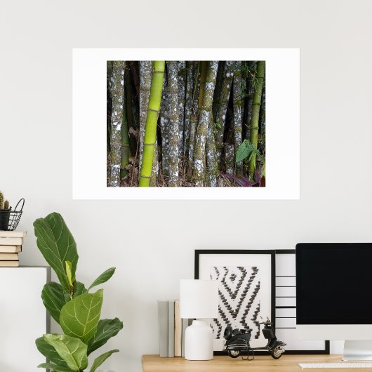 コスタリカ熱帯雨林竹アートポスター ポスター (ホームオフィス)