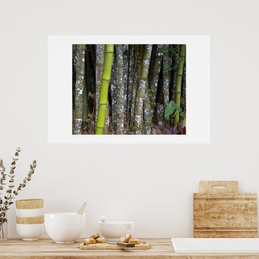 コスタリカ熱帯雨林竹アートポスター ポスター (キッチン)