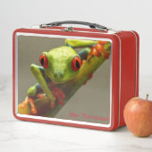 コスタリカ赤目のカエル メタルランチボックス (インサイチュ)