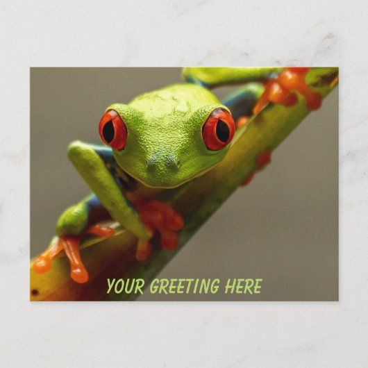 コスタリカ赤目カエルパーソナライズされた ポストカード (正面)