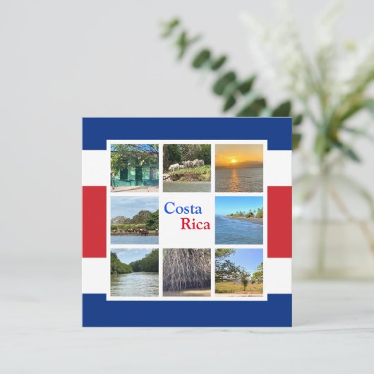 コスタリカ (スタンド正面)