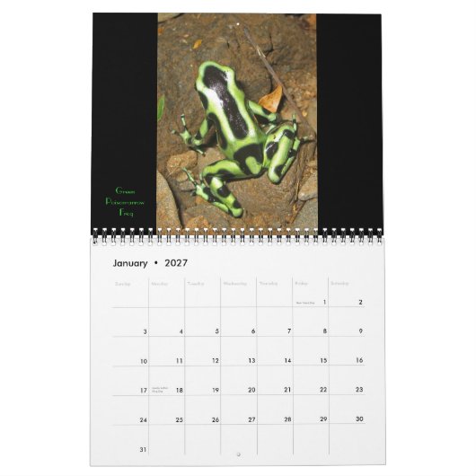 コスタリカ2011年カレンダー カレンダー (1月 2027)