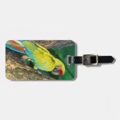 コスタリカ、アオコンゴウインコ ラゲッジタグ (正面横)