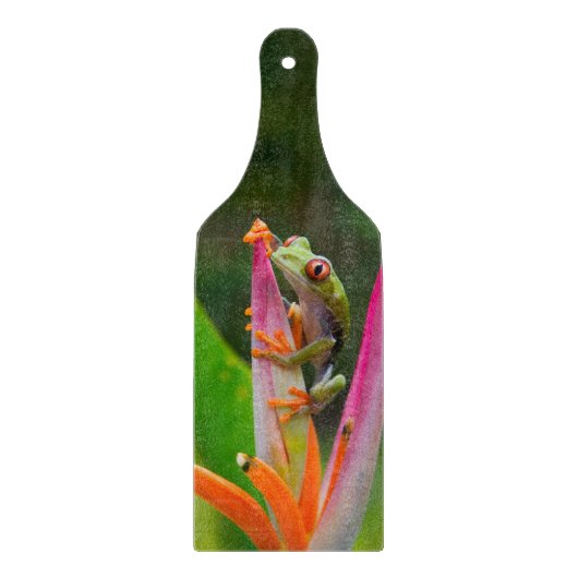 コスタリカ，アカガエル カッティングボード (正面)