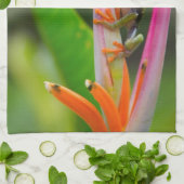 コスタリカ,アカガエル キッチンタオル (折り畳み)