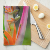 コスタリカ,アカガエル キッチンタオル (四つ折り)