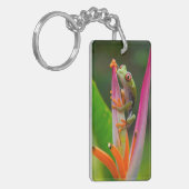 コスタリカ，アカガエル キーホルダー (正面左)